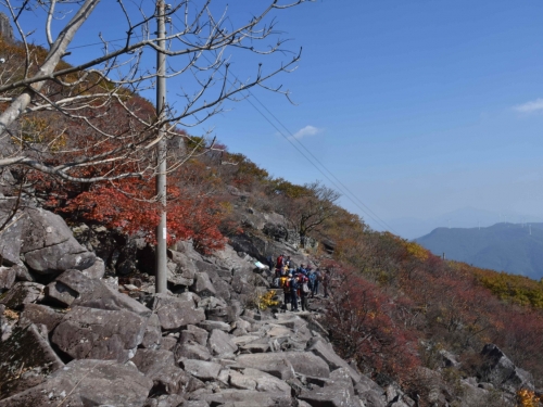 [004002]동호인 사진