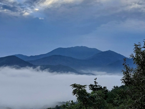 [004002]동호인 사진