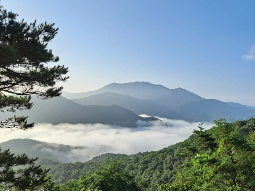 [004002]동호인 사진