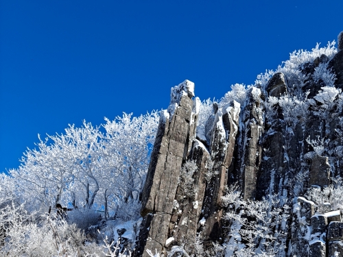 [004002]동호인 사진