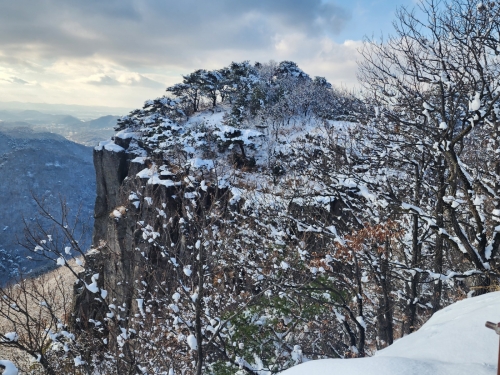 [004002]동호인 사진