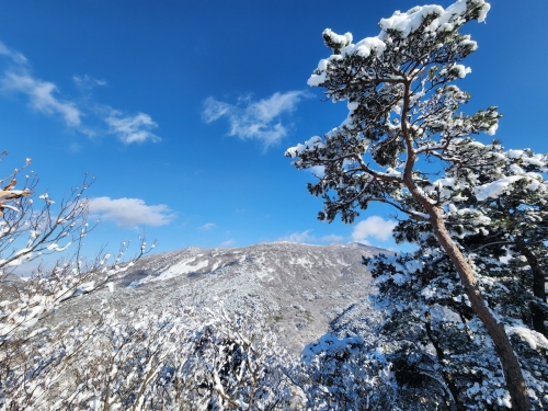 [004002]동호인 사진