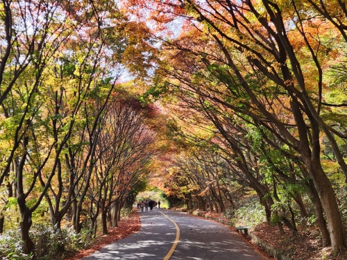 [004002]동호인 사진