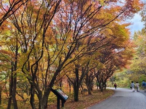 [004002]동호인 사진