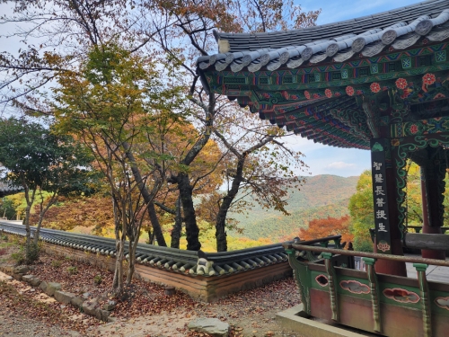 [004002]동호인 사진