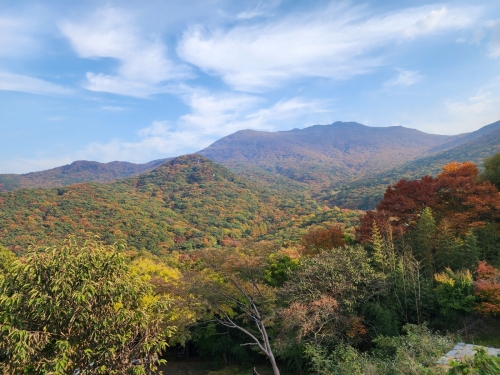 [004002]동호인 사진