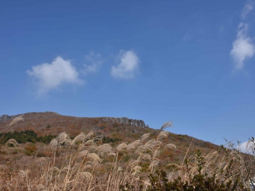 [004002]동호인 사진