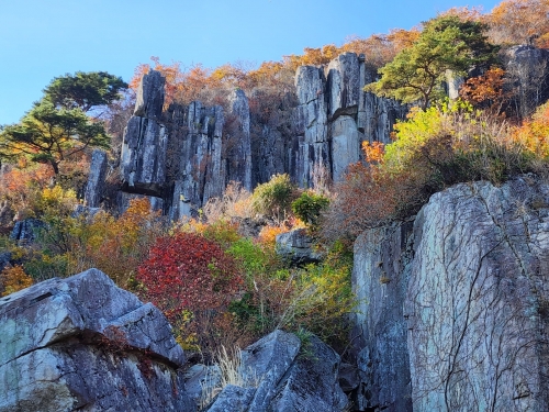 [004002]동호인 사진